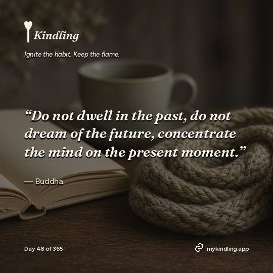 Buddha — Kindling. “Do not dwell in the past, do not dream of the future, concentrate the mind on the present moment.”