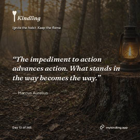 Marcus Aurelius — Kindling. “The impediment to action advances action. What stands in the way becomes the way.”