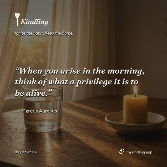 Marcus Aurelius — Kindling. “When you arise in the morning, think of what a privilege it is to be alive.”