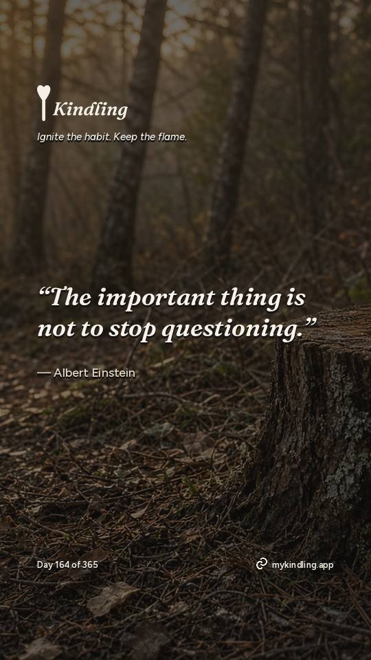 Albert Einstein — Kindling. “The important thing is not to stop questioning.”