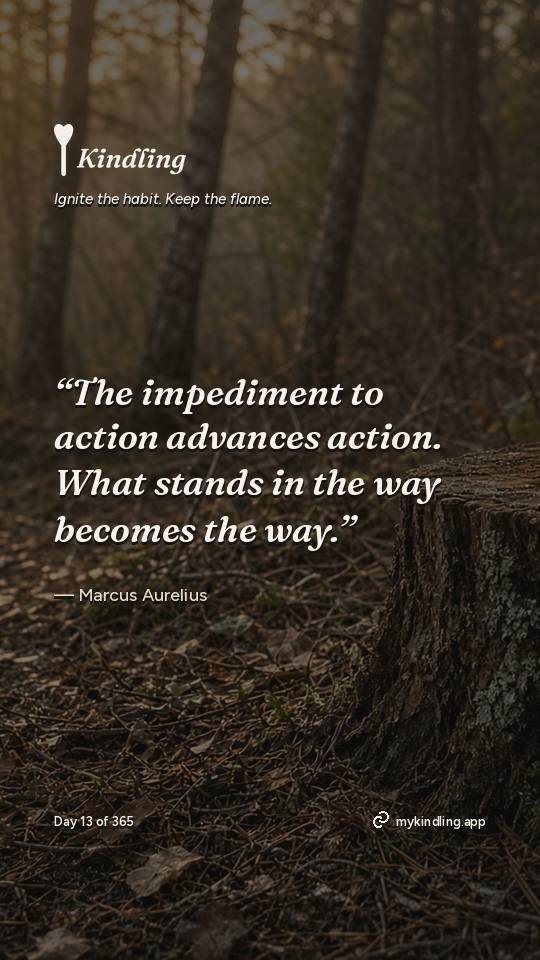Marcus Aurelius — Kindling. “The impediment to action advances action. What stands in the way becomes the way.”