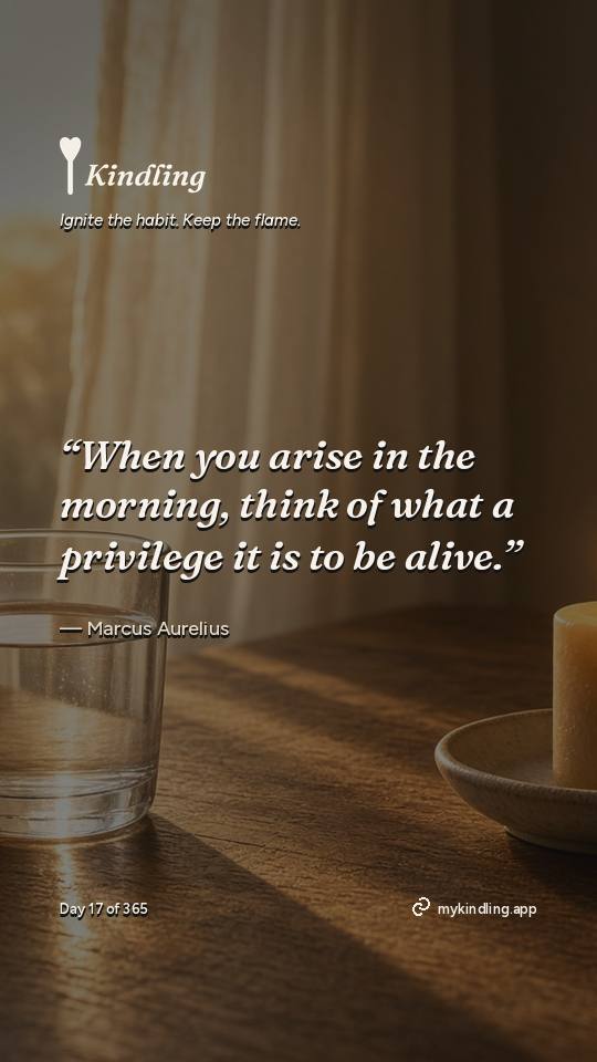 Marcus Aurelius — Kindling. “When you arise in the morning, think of what a privilege it is to be alive.”
