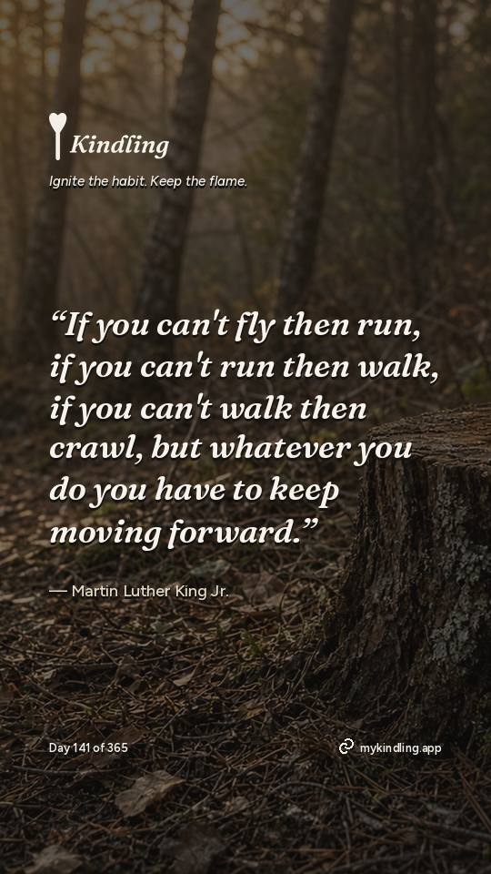 Martin Luther King Jr. — Kindling. “If you can't fly then run, if you can't run then walk, if you can't walk then crawl, but whatever you do you have to keep moving forward.”